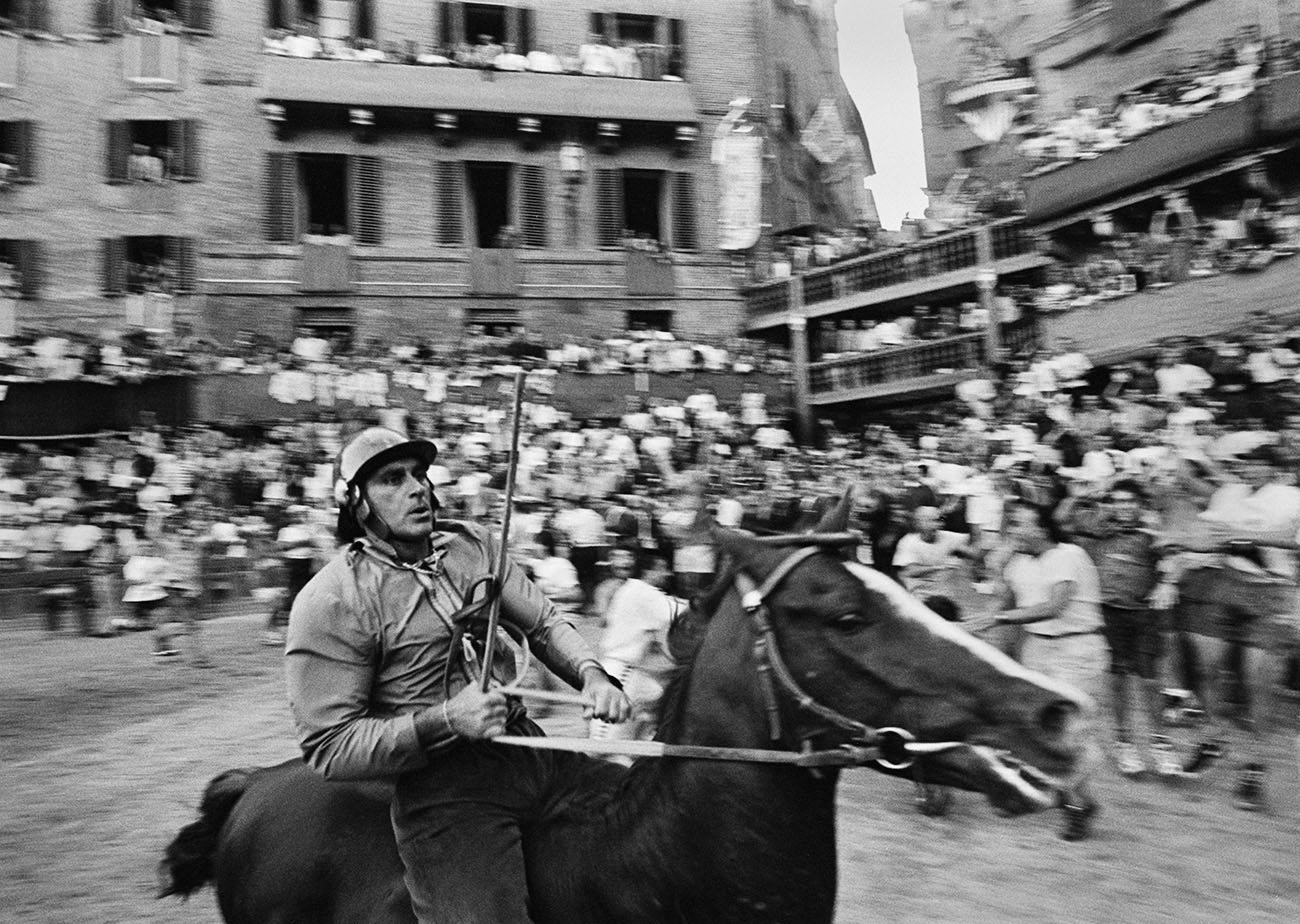 CarloVigni-Palio1